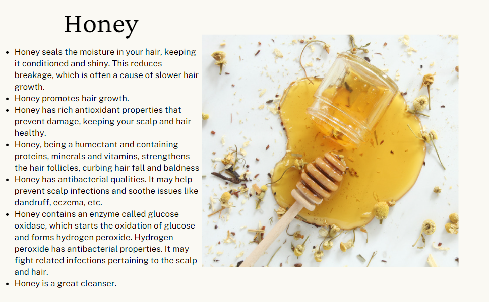 Honey Hydration Deep Moisture Shampoo